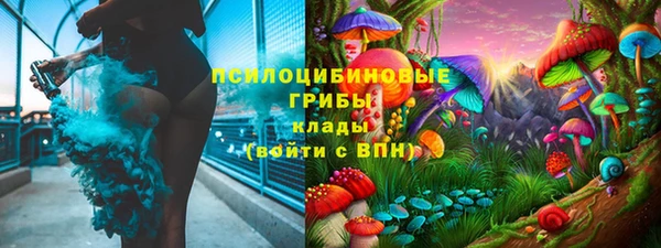 сатива Алексин