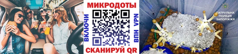 дарнет шоп  Сунжа  Галлюциногенные грибы Magic Shrooms 